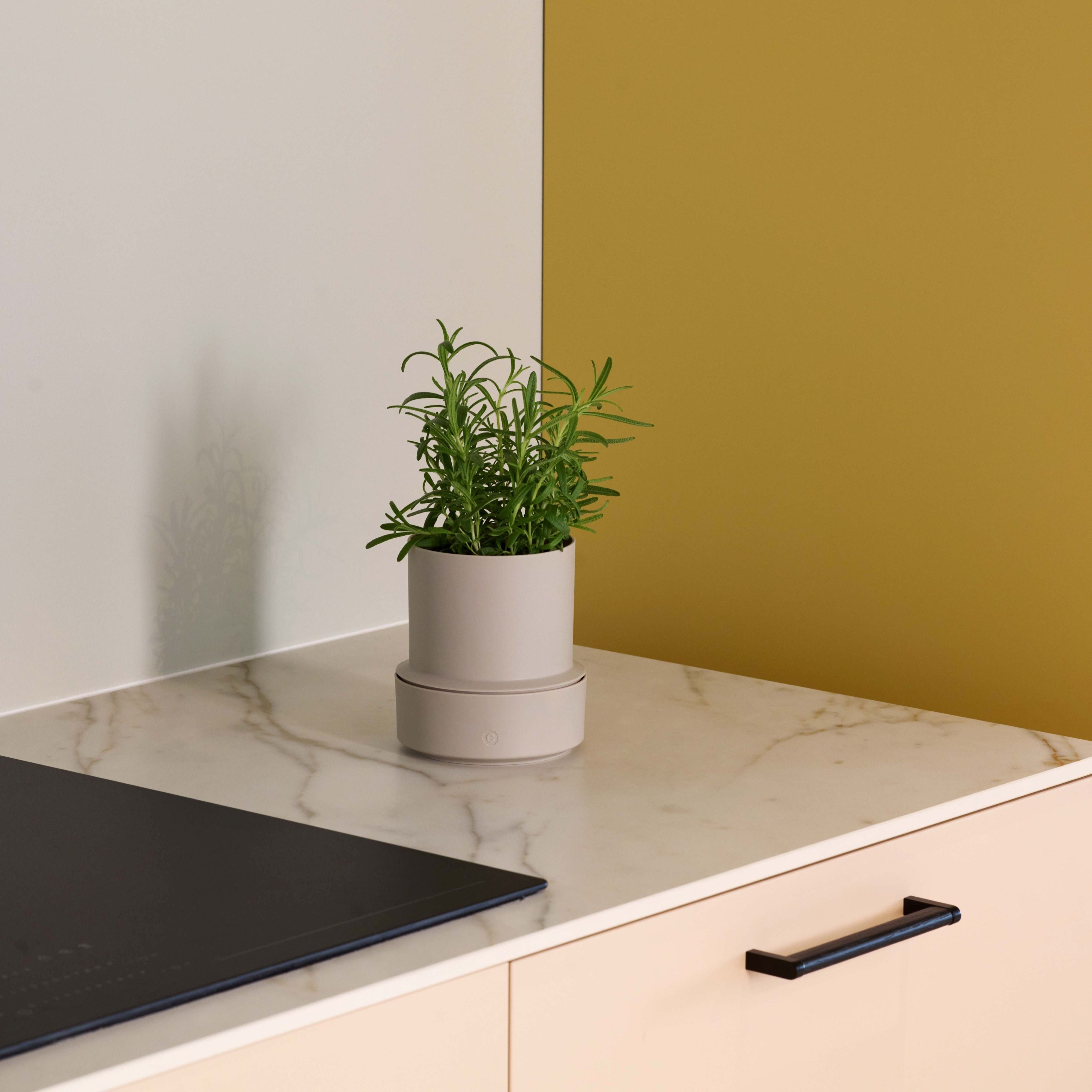 Billund self-watering pot, cumin