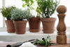 Torino 20cm, oak - 1 pcs