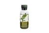 Billund olie & eddike 260ml, parsley - 1stk