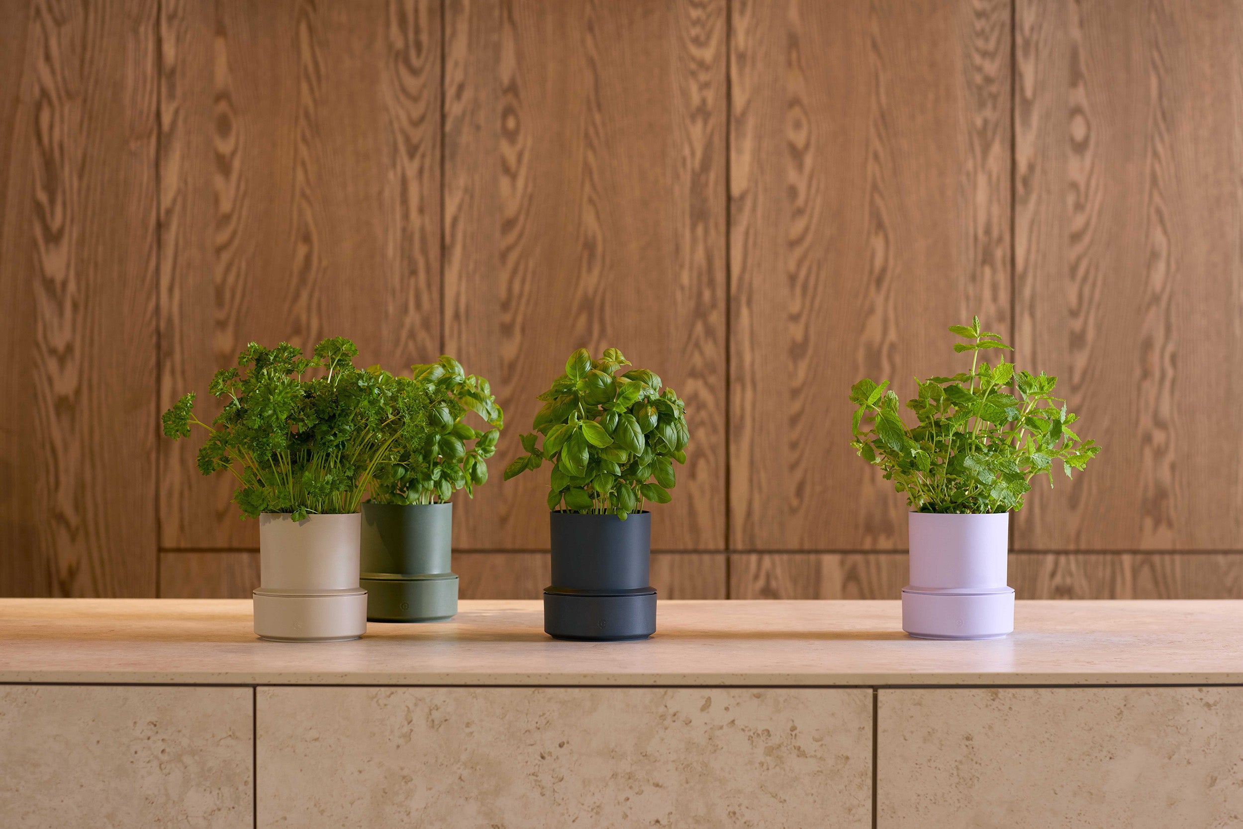 Billund self-watering pot, cumin